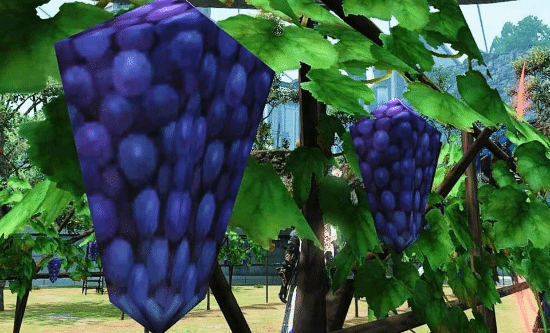 "新资料片上线后，葡萄农田仍然保持原有低质量建模"